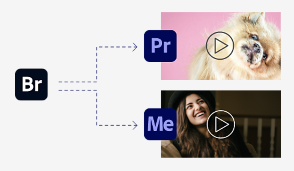 screenshot of Adobe Bridge